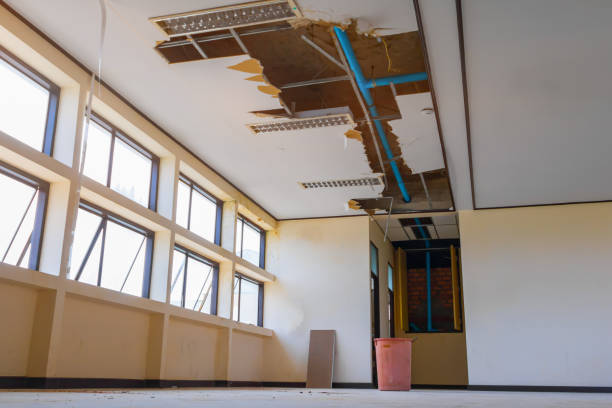 Best Sewage cleanup and water damage restoration  in Shady Cove, OR