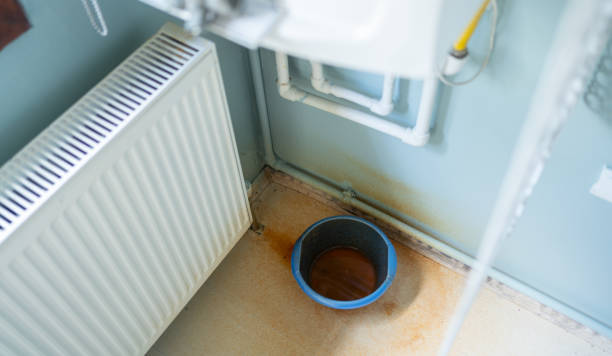 Best Water damage cleanup near me  in Shady Cove, OR