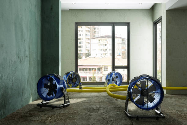Best Flood restoration services  in Shady Cove, OR